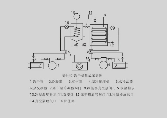 小型冻干机设备的效率和价格