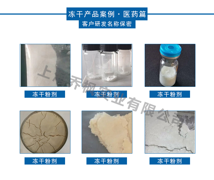 真空冷冻干燥机的用途