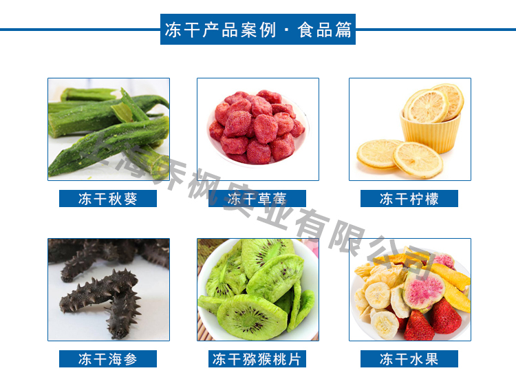 真空冷冻干燥机的用途？